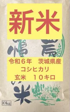 令和6年　茨城県産コシヒカリ　玄米10㎏