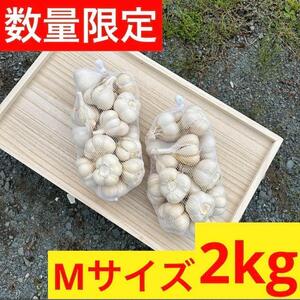 【限定セール】2kg M 新物 青森県産にんにく 福地ホワイト六片 加工 美品