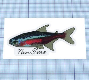 ★★ ネオンテトラのステッカー ★★ Neon Tetra 英語Ver.　 左右約7.8cm×天地約3.8cm