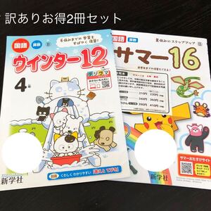 3091 ウインター12 サマー16 4年 新学社 国語 算数 小学 ドリル 問題集 教材 テキスト 解答 家庭学習 計算 漢字 過去問 ワーク 勉強 非売品