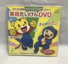 英語たいけんDVD 子供ちゃれんじEnglish