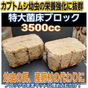 クワガタの産卵床に！　キクラゲ菌床【2ブロック】　カブトムシ幼虫の栄養強化にも抜群！　マットに埋めるだけで幼虫がモリモリ食べます