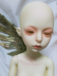 DOLL ZONE Gill(special body ver.) DOLK（ドルク）羽根付き 本体