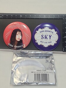 雨宮天　BEST LIVE TOUR -SKY-　ガチャ　缶バッジセット　A　声優　ライブ　グッズ　TrySail