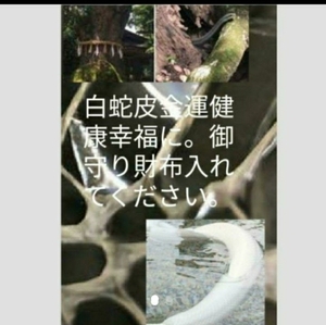 陰陽師霊山にて手作り白蛇皮お守り財布に入れます綺麗なツヤツヤのお守り金運アップ財運向上祈祷します。