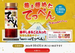 懸賞　特別な男梅サワーが当たる！　男梅サワーの素てっぺん　キャンペーン　シール　１口 