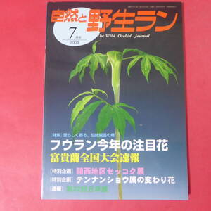 YN3-250109☆自然と野生ラン ◆ 2008年7月号　フウラン　富貴蘭　セッコク　テンナンショウ