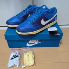 Nike Dunk Low SP 青紫スニーカー