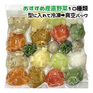 犬用 おすすめ産直野菜10種 中型犬向けパック 約900g 90g×10パック 冷凍真空パック【クール便発送】犬 猫 手作りごはん