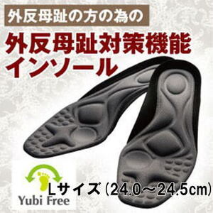 【送料無料】ガイハンインソール Lサイズ(24.0～24.5cm) 新品未使用品 #外反母趾 #中敷き #インソール