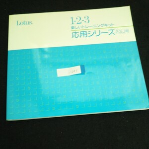 i-243 ロータス 1-2-3 トレーニングキット応用シリーズ ロータス株式会社 1992年初版発行※2