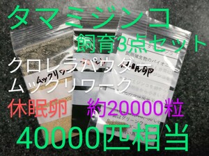 送金無料！タマミジンコ飼育3点セット　クロレラパウダー　ムックリワーク　乾燥卵　約40000匹相当付　取説付　めだかグッピー金魚熱帯魚餌