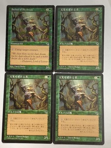 【MTG】 Seeker of Skybreak 天光を求める者 4枚セット