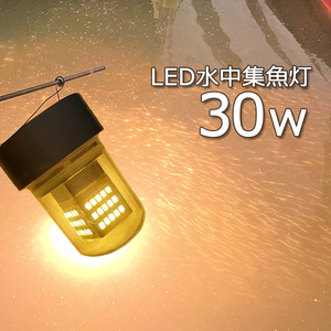 しらすうなぎ イカ釣り LED集魚灯 イエロー 黄色 30W DC12v24 水中ライト 水中イルミネーション 夜釣り 水中集魚灯 仕掛け シラスウナ