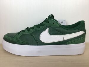 NIKE（ナイキ）(SB) ZOOM POGO PLUS PRM（ズームポゴプラスプレミアム） DQ5127-300 スニーカー 靴 ウィメンズ 25,0cm 新品 (1548)