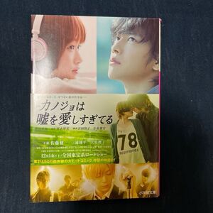 中古 小説 本 カノジョは嘘を愛しすぎてる 佐藤健 三浦翔平 大原櫻子 小学館文庫 豊田美加 青木琴美 吉田智子 小泉徳宏　初版　映画化