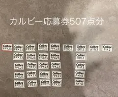 【カルビー】応募券 507点分