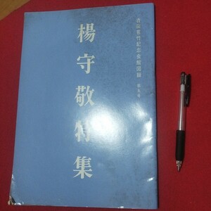 楊守敬特集 吉田苞竹記念会館図録第五号 書道拓本 唐書画法帖写経香港台湾中国折帖法書仏教漢籍折帖画帖版画書画写本書道 習字古筆法書中華