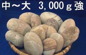 【薬石苑】姫川薬石　　中～大【3,000g】セット