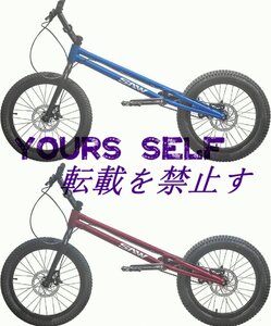 24インチ スタント用自転車 BMX 自転車 大人用 フロントおよびリアブレーキ付き Crmoフレームとフォーク パープル