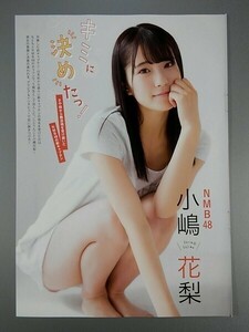 切り抜き ＦＬＡＳＨスペシャル『小嶋花梨　NMB48 キミに決めたっ！』『SKE48 Team KⅡ 蹴飛ばした後で口づけを MV撮影に密着！』□12□