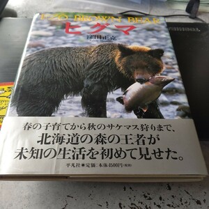 ヒグマ　写真集　窪田正克　１９９９年5月24日初版第1刷　平凡社　熊