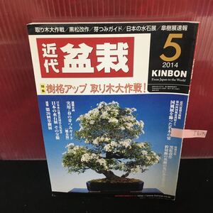 Ih-246 近代盆栽 5月号 樹格アップ 取り木大作戦 国風展を飾った名木の宴 平成26年5月1日発行 L2:61002