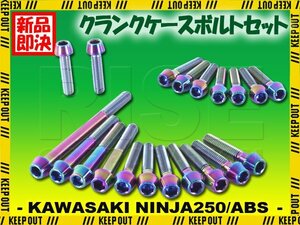 チタンボルト カワサキ Ninja250/ABS専用 ニンジャ250 EX250 2015-2017(EX250LE011634 -) クランクケース エンジンカバー 20本 焼き色