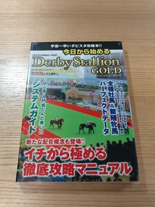 【E0665】送料無料 書籍 今日から始めるダービースタリオンGOLD ( 3DS 攻略本 Derby Stallion 空と鈴 )