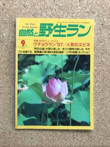 自然と野生ラン 1997年9月号　※ ウチョウラン ギボウシ 水草 シダ セッコク 富貴蘭 ※ 園芸JAPAN