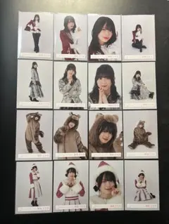 櫻坂46 生写真 16種コンプ サンタ 3rd どうぶつ 4th 森田ひかる