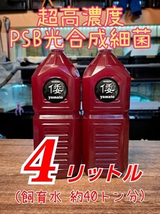 【倭めだか】 ４リットル 超高濃度 PSB 光合成細菌 ４L メダカ金魚ベタゾウリムシ タマミジンコ オオミジンコ タイリクミジンコ 等のエサに