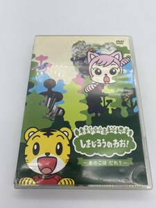 しまじろうのわお！　あのこは　だれ？　DVD