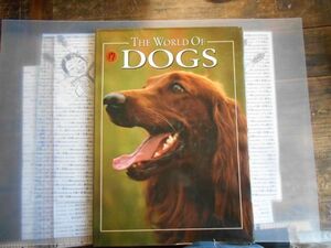 洋書no.17 THE WORLD OF DOGS ANGELA RIXON SMITHMARK120PHOTO 95PAGES世界の犬　