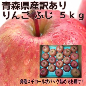 青森県産　りんご　訳あり　ご家庭用　サンふじ　５ｋｇ　パック詰め　送料無料！