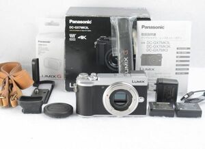 【S数2360回！】パナソニック Panasonic DC-GX7MK3 ボディ 【元箱・おまけ付き】　#606-028-0618