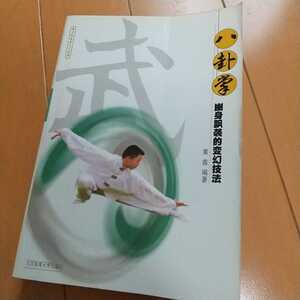 八卦掌　「幽身飄襲的変幻技法」　拳法　武術　古武道　空手　護身術　気功　東洋医学