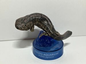 京都水族館限定 オオサンショウウオ 海洋堂 カプセルアクアリウム フィギュアコレクション フィギュア ガチャ