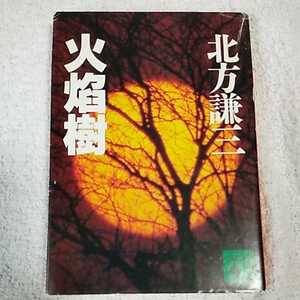 火焔樹 (講談社文庫) 北方 謙三 訳あり ジャンク 9784061850675