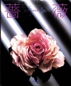 【中古】薔薇 (布花)