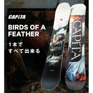 新品未使用 24-25 CAPITA BOARD BIRDS OF A FEATHER 138cm 安心保証 即日発送 土日祝発送OK