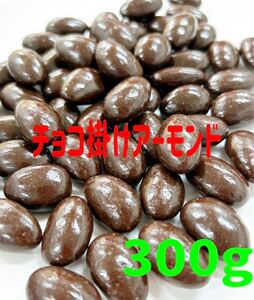 カカオ72%チョコ掛けアーモンド300g