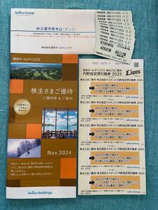 西武鉄道株主優待乗車証10枚、内野指定席引換券2025、冊子1 西武ホールディングス 株主優待 冊子 施設利用優待券 西武HD 西武鉄道 きっぷ