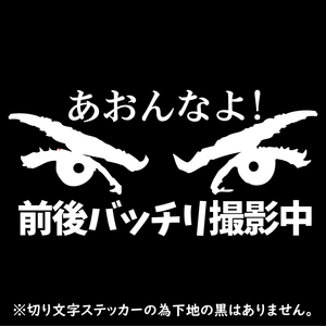 送料無料 ドラレコ撮影中 アピールステッカー【白】あおんなよ 前後バッチリ撮影中　横18cmあおり運転防止　安全運転　事故防止　