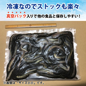 冷凍どじょう（真空パック・ドジョウ）小サイズ(S) 500g 【送料安い】　◆同梱何個でもＯＫ◆　古代魚、肉食魚のエサに最適　冷凍餌