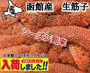 函館産　生スジコ　500㌘　生筋子