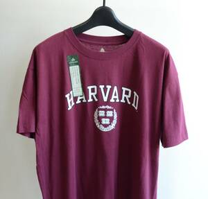 未使用 Ivysport カレッジ Ｔシャツ HARVARD size L ハーバード