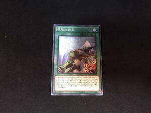 遊戯王 真竜の継承 ノーマル MACR アジア 亜 中古良品 在庫2