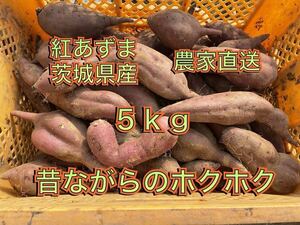 訳あり　土付き　ホクホク系　べにあずま　紅東　紅あずま　5kg B級品 さつまいも 茨城県産