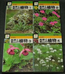 【超希少】【全４巻セット、初版、美品】古本　検索入門　高原と高山の植物　全４巻　著者：清水建美　（株）保育社